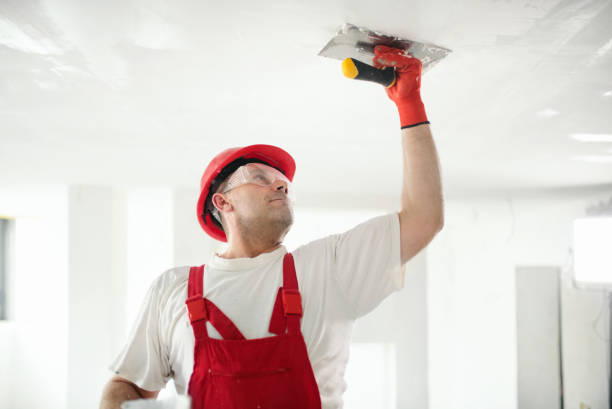 Best Mold Damage Restoration  in Russell, KY