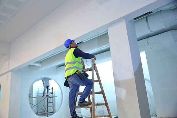 Best Basement Mold Removal  in Russell, KY